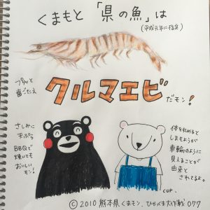 077 熊本「県の魚」はクルマエビ